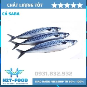 Cá basa tươi ngon - Thực Phẩm Đông Lạnh H2T - Công Ty TNHH H2T Food